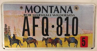 WILDERNESS AREA license plate Horseback riding Fish National Park Trail Hiking