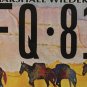 WILDERNESS AREA license plate Horseback riding Fish National Park Trail Hiking