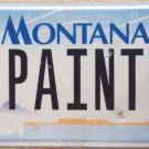 Montana vanity PAINTER license plate Artist Craftsman Painting Paint Brush Art