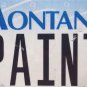 Montana vanity PAINTER license plate Artist Craftsman Painting Paint Brush Art