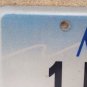 Montana vanity PAINTER license plate Artist Craftsman Painting Paint Brush Art