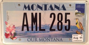 WILDLIFE MEADOWLARK bird license plate National Park Wild Flower animal Flowers