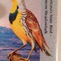 WILDLIFE MEADOWLARK bird license plate National Park Wild Flower animal Flowers