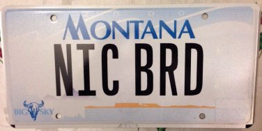 Vanity NICE BIRD THUNDERBIRD license plate watching Coupe Car Chrysler Roadster