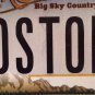 Vanity BOSTON license plate New England Mass Patriots Red Sox Celtics Bruins BU