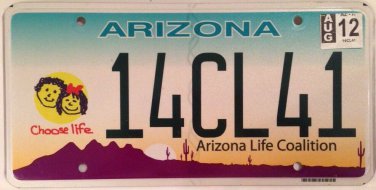 Arizona CHOOSE LIFE pro license plate kid boy fetus child God abortion Adoption