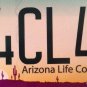 Arizona CHOOSE LIFE pro license plate kid boy fetus child God abortion Adoption
