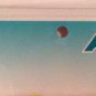 Arizona CHOOSE LIFE pro license plate kid boy fetus child God abortion Adoption