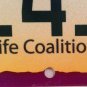 Arizona CHOOSE LIFE pro license plate kid boy fetus child God abortion Adoption