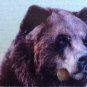 YELLOWSTONE WILDLIFE PARK GRIZZLY WOLF Center license plate Bear National Animal