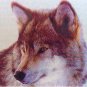 YELLOWSTONE WILDLIFE PARK GRIZZLY WOLF Center license plate Bear National Animal