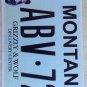 YELLOWSTONE WILDLIFE PARK GRIZZLY WOLF Center license plate Bear National Animal