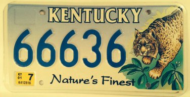 Quadruple Triple Digit 6 LYNX license plate 666 repeating number Evil Satan God