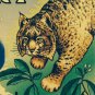 Quadruple Triple Digit 6 LYNX license plate 666 repeating number Evil Satan God
