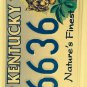 Quadruple Triple Digit 6 LYNX license plate 666 repeating number Evil Satan God
