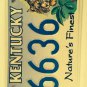 Quadruple Triple Digit 6 LYNX license plate 666 repeating number Evil Satan God