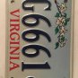 Rare HANDICAP WILDLIFE CARDINAL license plate Wheelchair Triple 6 666 repeating
