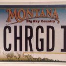Vanity CHARGED IT ELECTRIC CAR license plate Battery Prius Tesla Hybrid EV Leaf