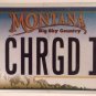 Vanity CHARGED IT ELECTRIC CAR license plate Battery Prius Tesla Hybrid EV Leaf