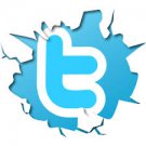Twitter Followers