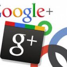 Google Plus Followers