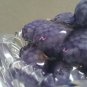 Blackberry Bowl Scented Soy Decorative Candle