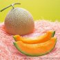 20 pcs of  Japanese melon hybrid Seeds with Worldwide Shipping