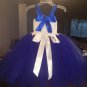 Patriotic Tutu Dress