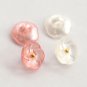 Attractive 30 Pieces Flower Buttons Fashion Blouse 11.5mm Buttons 2 Color Shank button for Garment