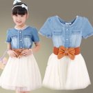 SALE Denim Dress for Toddler Girls Denim Blue Denims Boat Neckline Summer Cowgirl Dresses LMF24-210