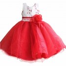 3T Toddler Girls Dress FREE SHIPPING Formal Red Dress Perfect Red Tutu Dress for Pageant Show