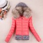 Free Shipping Mintgreen Knitted Splicing Stylish Removable Fur Hood Long Sleeve Women's Down Coat
