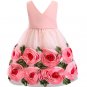 Rsslyn Pink Dress for Spring New Toddler Infant Kids Child Party Wedding Formal Dresses