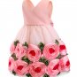 Rsslyn Pink Dress for Spring New Toddler Infant Kids Child Party Wedding Formal Dresses