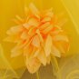 Mesh 3-6 Months Newborn Dress Solid Yellow Dress for Summer First Birthday Dress with Free Tiara