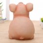 Rsslyn SALE 2pcs/SET Ready to Ship Piggy Bank Kids Room Display KItchen Decor Piggy Book End Stand