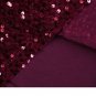 Rsslyn Burgundy Party Dress for Plus Size Women Fashion Sequined Dresses