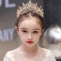 Rsslyn Beautiful Golden Dresses for Girls Party Dress Free Golden Crown Ballgown Christmas Dress