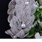 Rsslyn Bridesmaids Jewelry Set Bridal Jewelry Set Large Silver Tiara with Silver Earrings