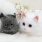 Rsslyn Luxury Style Chunky Cat Bags for Women