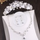 Rsslyn Silver Crown for Christmas Pageant Show Wedding in December Flower Tiara