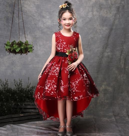 Rsslyn Free CC Brooch for Christmas Dress for 24 Months with Free Golden Tiara