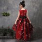 Rsslyn Free CC Brooch for Christmas Dress for 24 Months with Free Golden Tiara