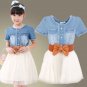 Rsslyn SALE Denim Dress for Little Girls Button Up Dress Denim Tutu Dress