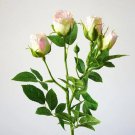Rsslyn High-quality Rose for Office Decoration Fake Rose Flowers Home and Garden Decor