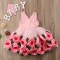 Rsslyn Sleeveless Pink Dress for Baby Girls Formal Dresses Rose Girl Princess Dress Flower
