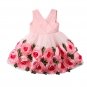 Rsslyn Sleeveless Pink Dress for Baby Girls Formal Dresses Rose Girl Princess Dress Flower