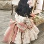 Rsslyn Ballgown Dresses Luxury Big Pink Dress for Baby Girls Birthday Girls Outfit Free Crown Tiara