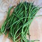 Rsslyn 50pcs Garden Seeds Long Beans Seeds Organic Long Yard Beans Sitaw Ilokano Utong
