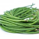 Rsslyn 50pcs Seeds Yardlong Beans Snake Bean Seeds Organic Beans Sitaw Tagalog Ilokano Utong